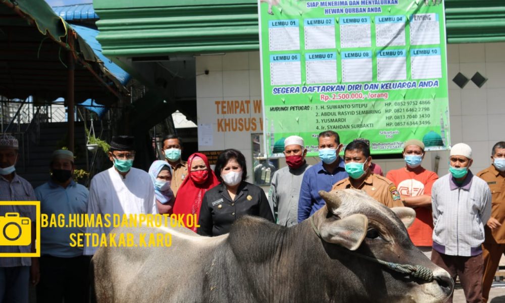 Bupati Karo serahkan Kurban