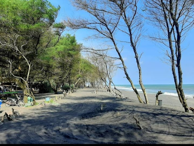 Menikmati Pesona Alam yang Eksotis di Pantai Pandansimo, Bantul Jogja